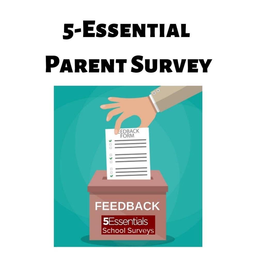  5 Essential Survey